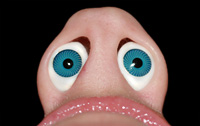 Nose 3