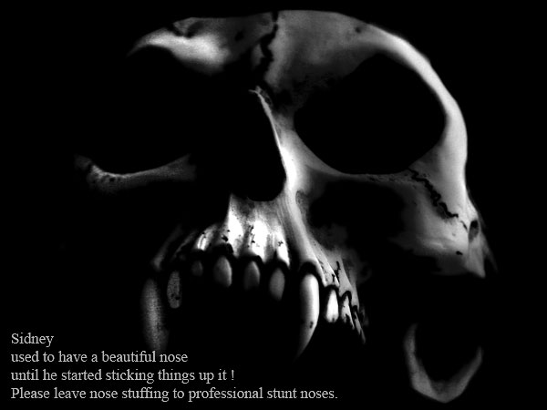 Skull